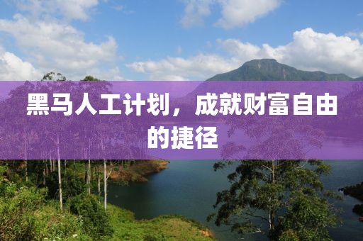 黑马人工计划，成就财富自由的捷径