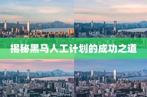 揭秘黑马人工计划的成功之道