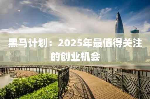 黑马计划：2025年最值得关注的创业机会