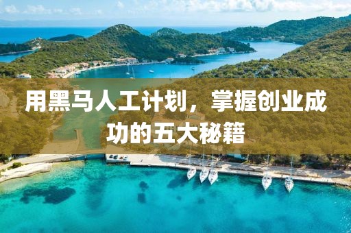 用黑马人工计划，掌握创业成功的五大秘籍