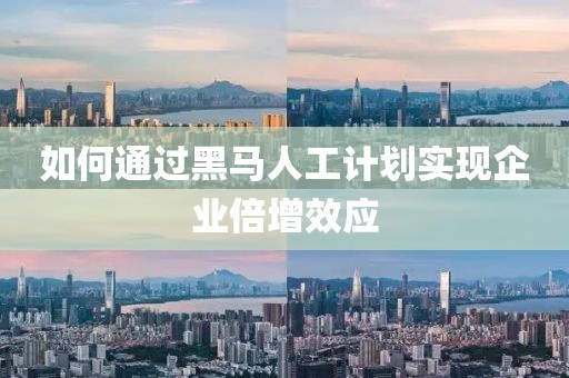 如何通过黑马人工计划实现企业倍增效应