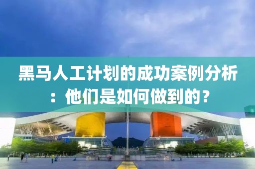 黑马人工计划的成功案例分析：他们是如何做到的？
