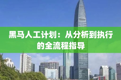 黑马人工计划：从分析到执行的全流程指导