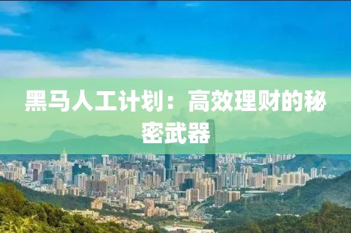 黑马人工计划：高效理财的秘密武器