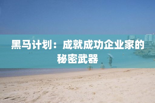 黑马计划：成就成功企业家的秘密武器