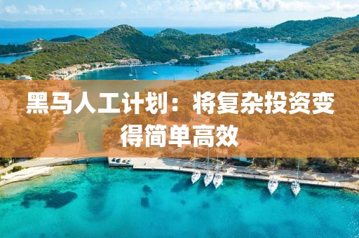 黑马人工计划：将复杂投资变得简单高效