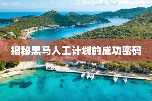揭秘黑马人工计划的成功密码