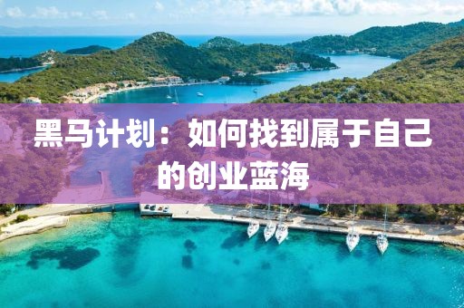 黑马计划：如何找到属于自己的创业蓝海