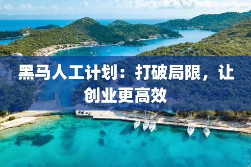 黑马人工计划：打破局限，让创业更高效