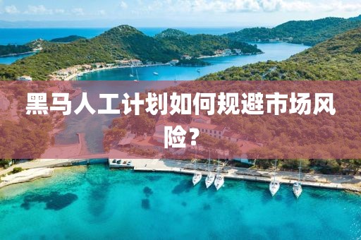 黑马人工计划如何规避市场风险？