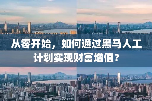 从零开始，如何通过黑马人工计划实现财富增值？